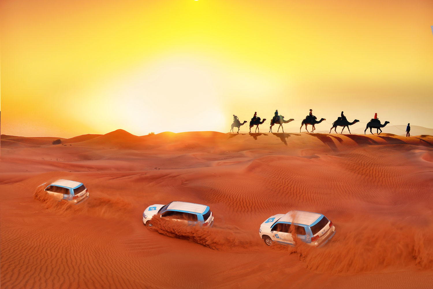 Experience the Thrill of the Desert!